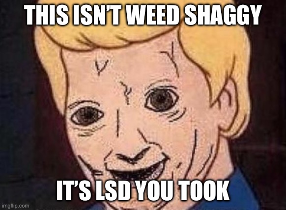 Not weed | THIS ISN’T WEED SHAGGY IT’S LSD YOU TOOK | image tagged in shaggy this isnt weed fred scooby doo,weed,lsd | made w/ Imgflip meme maker