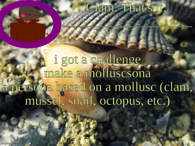 tbref | i got a challenge
make a molluscsona
a persona based on a mollusc (clam, mussel, snail, octopus, etc.) | made w/ Imgflip meme maker