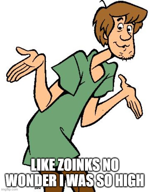 Shaggy from Scooby Doo | LIKE ZOINKS NO WONDER I WAS SO HIGH | image tagged in shaggy from scooby doo | made w/ Imgflip meme maker