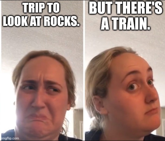 But there's a train | BUT THERE'S A TRAIN. TRIP TO LOOK AT ROCKS. | image tagged in kombucha girl | made w/ Imgflip meme maker