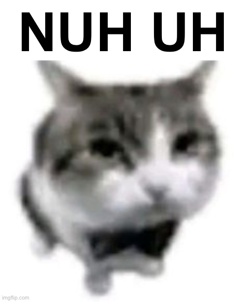 dripped out cat | NUH UH | image tagged in dripped out cat | made w/ Imgflip meme maker