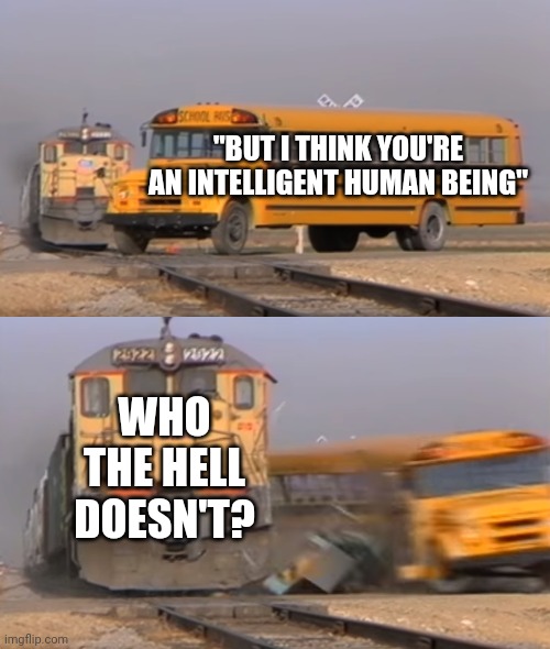 A train hitting a school bus | "BUT I THINK YOU'RE AN INTELLIGENT HUMAN BEING"; WHO THE HELL DOESN'T? | image tagged in a train hitting a school bus | made w/ Imgflip meme maker