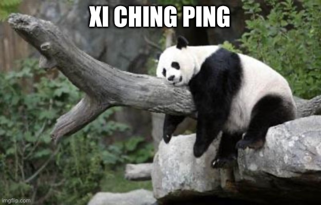 Lazy Leader evil as well | XI CHING PING | image tagged in lazy panda | made w/ Imgflip meme maker