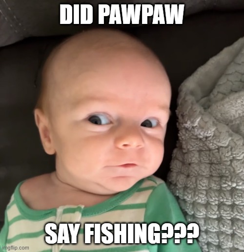 Fishing | DID PAWPAW; SAY FISHING??? | image tagged in fishing,funny,cute baby | made w/ Imgflip meme maker