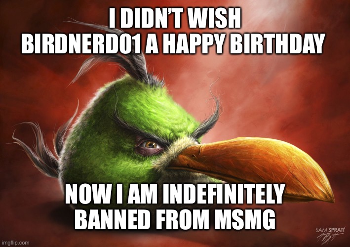 https://imgflip.com/i/7o2xhr | I DIDN’T WISH BIRDNERD01 A HAPPY BIRTHDAY; NOW I AM INDEFINITELY BANNED FROM MSMG | image tagged in realistic angry bird | made w/ Imgflip meme maker
