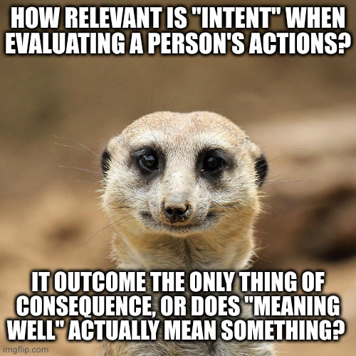 "I've not come for what you hoped to do. I've come for what you did" | HOW RELEVANT IS "INTENT" WHEN
EVALUATING A PERSON'S ACTIONS? IT OUTCOME THE ONLY THING OF
CONSEQUENCE, OR DOES "MEANING WELL" ACTUALLY MEAN SOMETHING? | image tagged in well meaning meercat | made w/ Imgflip meme maker