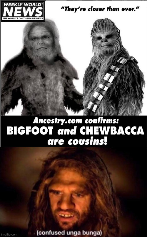 Hairy cousins | image tagged in confused unga bunga,bigfoot,chewbacca,cousin | made w/ Imgflip meme maker
