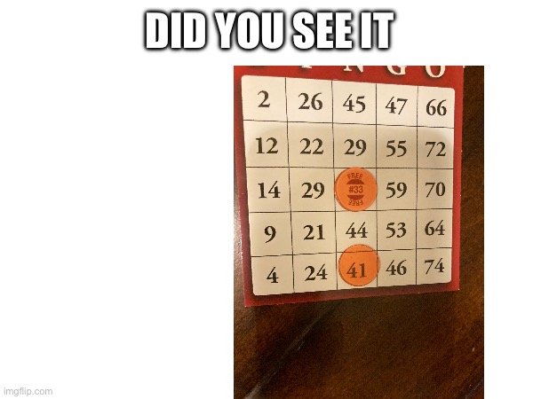 Look at 29 | DID YOU SEE IT | image tagged in bingo | made w/ Imgflip meme maker