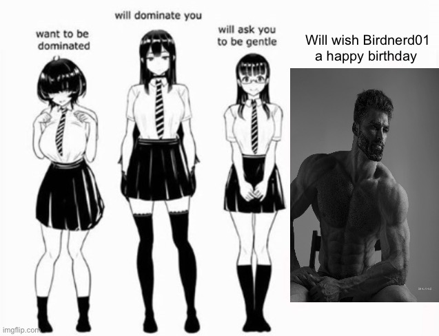 https://imgflip.com/i/7o2xhr | Will wish Birdnerd01 a happy birthday | image tagged in domination stats | made w/ Imgflip meme maker