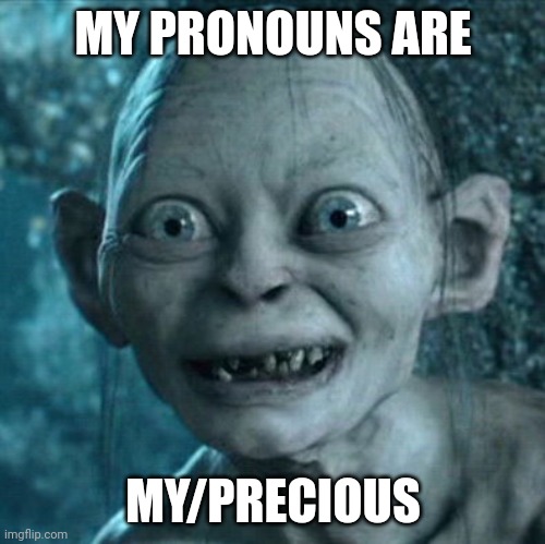 Gollum | MY PRONOUNS ARE; MY/PRECIOUS | image tagged in memes,gollum | made w/ Imgflip meme maker