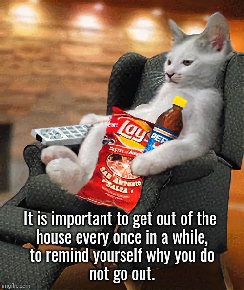 Why I Stay at Home | It is important to get out of the 
house every once in a while,
to remind yourself why you do
not go out. | image tagged in cat,tv shows,watching tv,stay at home | made w/ Imgflip meme maker