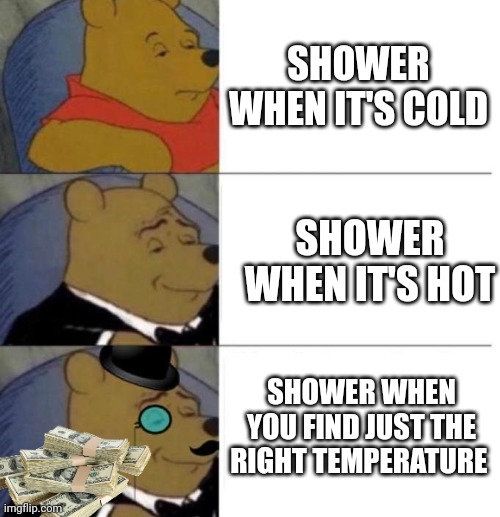 Tuxedo Winnie the Pooh (3 panel) | SHOWER WHEN IT'S COLD; SHOWER WHEN IT'S HOT; SHOWER WHEN YOU FIND JUST THE RIGHT TEMPERATURE | image tagged in tuxedo winnie the pooh 3 panel | made w/ Imgflip meme maker