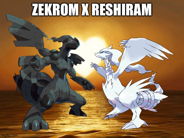 Zekrom x Reshiram is 100% another awesome Pokémon x Pokémon ship! | ZEKROM X RESHIRAM | image tagged in love,pokemon | made w/ Imgflip meme maker