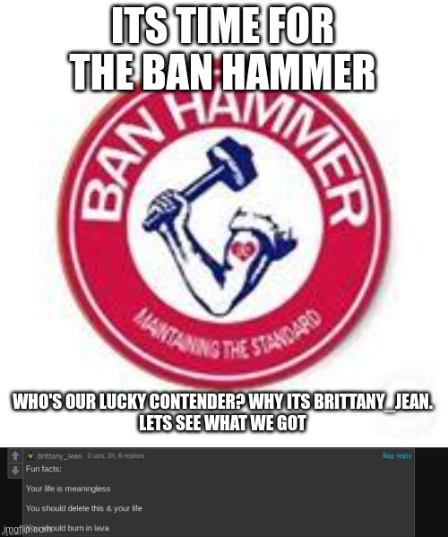 ITS TIME FOR THE BAN HAMMER; WHO'S OUR LUCKY CONTENDER? WHY ITS BRITTANY_JEAN.

LETS SEE WHAT WE GOT | image tagged in ban hammer | made w/ Imgflip meme maker
