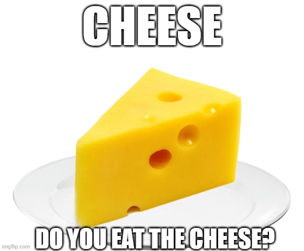 cheese | CHEESE; DO YOU EAT THE CHEESE? | image tagged in cheese | made w/ Imgflip meme maker