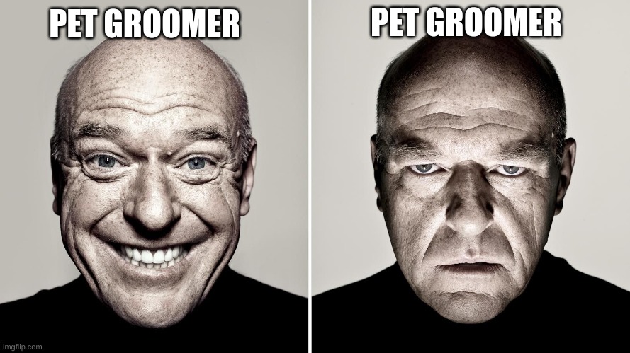 ? | PET GROOMER; PET GROOMER | image tagged in breaking bad,funny,goofy ahh | made w/ Imgflip meme maker