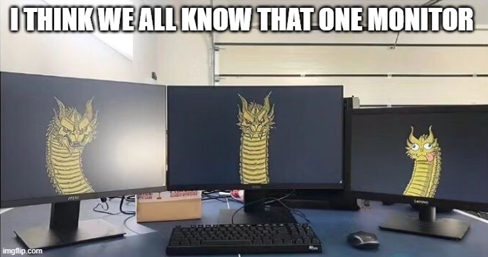 monitor | I THINK WE ALL KNOW THAT ONE MONITOR | image tagged in gaming | made w/ Imgflip meme maker