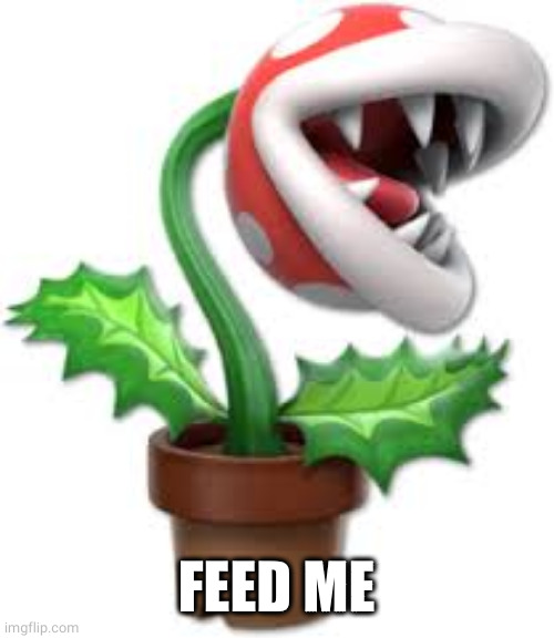 piranha plant | FEED ME | image tagged in piranha plant | made w/ Imgflip meme maker