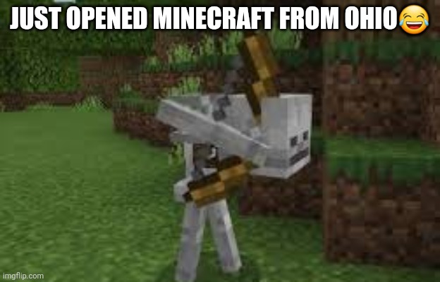 JUST OPENED MINECRAFT FROM OHIO😂 | made w/ Imgflip meme maker