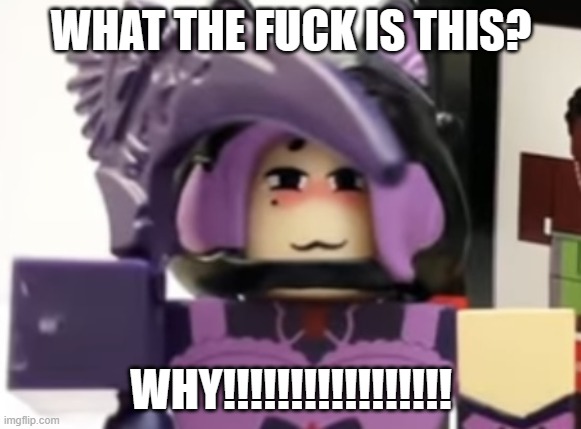 roblox sus | WHAT THE FUCK IS THIS? WHY!!!!!!!!!!!!!!!!! | image tagged in roblox r63 toy | made w/ Imgflip meme maker