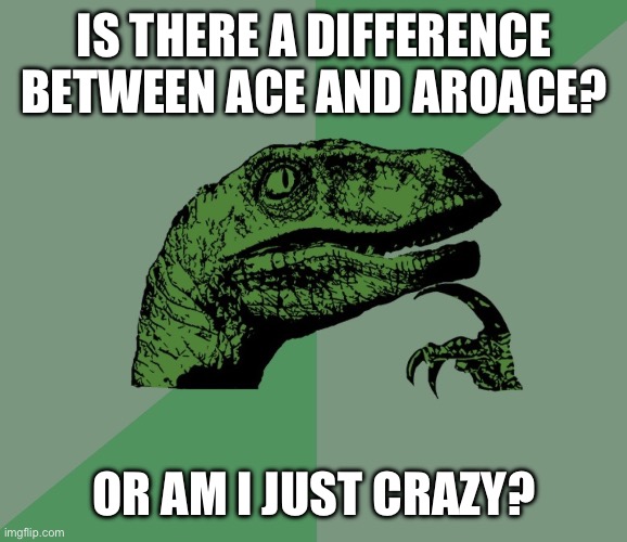 Just an honest question bc I don’t know the answer | IS THERE A DIFFERENCE BETWEEN ACE AND AROACE? OR AM I JUST CRAZY? | image tagged in dino think dinossauro pensador | made w/ Imgflip meme maker