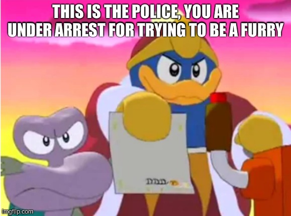 King dedede | THIS IS THE POLICE, YOU ARE UNDER ARREST FOR TRYING TO BE A FURRY | image tagged in king dedede | made w/ Imgflip meme maker