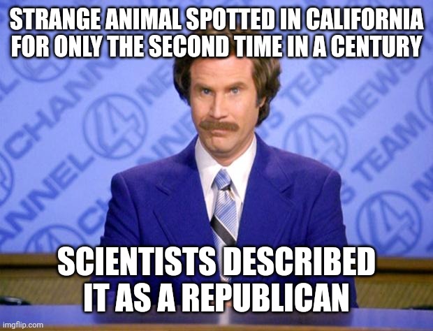 This just in  | STRANGE ANIMAL SPOTTED IN CALIFORNIA FOR ONLY THE SECOND TIME IN A CENTURY; SCIENTISTS DESCRIBED IT AS A REPUBLICAN | image tagged in this just in | made w/ Imgflip meme maker