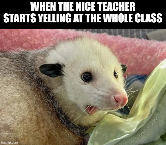 It was all problemo | WHEN THE NICE TEACHER STARTS YELLING AT THE WHOLE CLASS | image tagged in it was all problemo | made w/ Imgflip meme maker