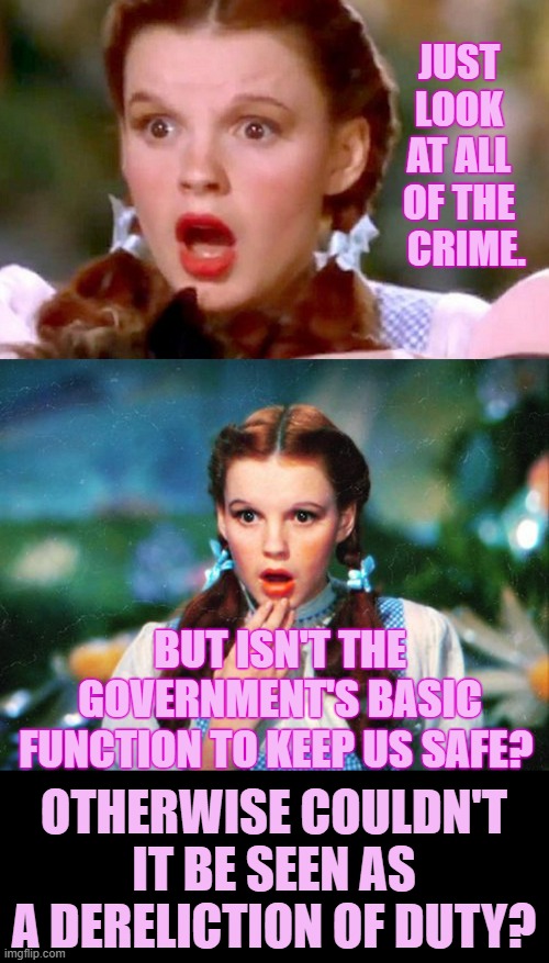 Oh Toto... | JUST LOOK AT ALL OF THE   CRIME. BUT ISN'T THE GOVERNMENT'S BASIC FUNCTION TO KEEP US SAFE? OTHERWISE COULDN'T IT BE SEEN AS A DERELICTION OF DUTY? | image tagged in memes,politics,crime,government,safety,do your job | made w/ Imgflip meme maker