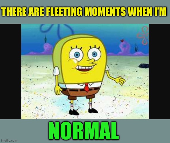 spongebob hi how are ya? | THERE ARE FLEETING MOMENTS WHEN I’M NORMAL | image tagged in spongebob hi how are ya | made w/ Imgflip meme maker