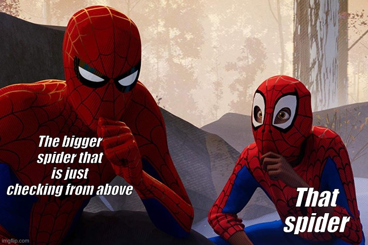 Learning from spiderman | The bigger spider that is just checking from above That spider | image tagged in learning from spiderman | made w/ Imgflip meme maker