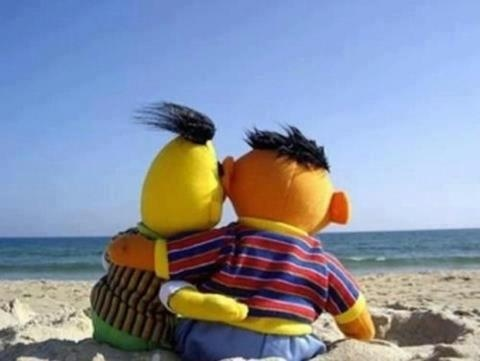 BERT & ERNIE AT THE BEACH Blank Meme Template