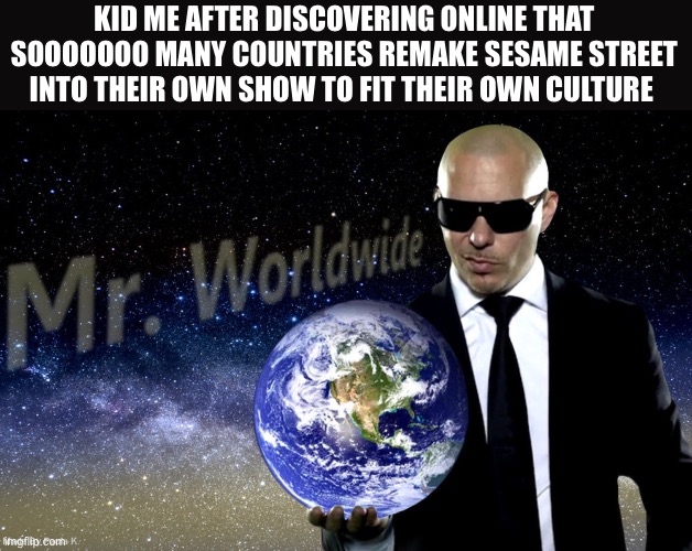 sunny days | KID ME AFTER DISCOVERING ONLINE THAT SOOOOOOO MANY COUNTRIES REMAKE SESAME STREET INTO THEIR OWN SHOW TO FIT THEIR OWN CULTURE | image tagged in mr worldwide | made w/ Imgflip meme maker