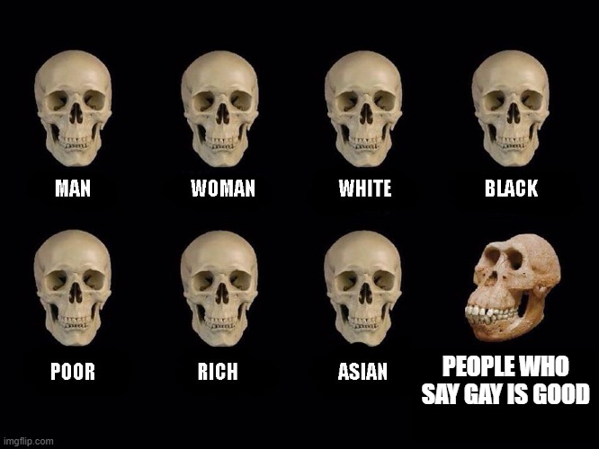 empty skulls of truth | PEOPLE WHO SAY GAY IS GOOD | image tagged in empty skulls of truth | made w/ Imgflip meme maker