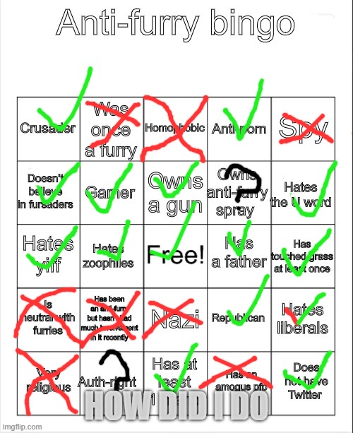 Anti-Furry bingo | HOW DID I DO | image tagged in anti-furry bingo | made w/ Imgflip meme maker