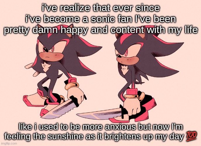 if you get the lyrical reference you are instantly my bestie | i've realize that ever since i've become a sonic fan I've been pretty damn happy and content with my life; like i used to be more anxious but now I'm feeling the sunshine as it brightens up my day 💯 | image tagged in shadow with knife | made w/ Imgflip meme maker