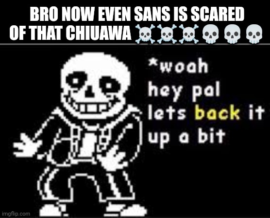 woah hey pal lets back it up a bit | BRO NOW EVEN SANS IS SCARED OF THAT CHIUAWA ☠️☠️☠️??? | image tagged in woah hey pal lets back it up a bit | made w/ Imgflip meme maker