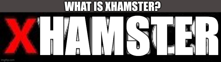 Xvideos go | WHAT IS XHAMSTER? HAMSTER | image tagged in xvideos go | made w/ Imgflip meme maker