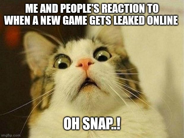 My and many other people's reaction surprised cat | ME AND PEOPLE'S REACTION TO WHEN A NEW GAME GETS LEAKED ONLINE; OH SNAP..! | image tagged in memes,scared cat,surprised cat,me and many other people's reaction | made w/ Imgflip meme maker
