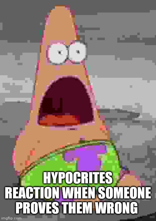 Hypocrites reaction when someone proves them wrong | HYPOCRITES REACTION WHEN SOMEONE PROVES THEM WRONG | image tagged in hypocrites reaction,hypocrite,surprised patrick,hypocritecle people | made w/ Imgflip meme maker