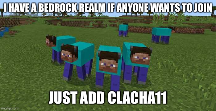 Put your username in the comments so I know who you are | I HAVE A BEDROCK REALM IF ANYONE WANTS TO JOIN; JUST ADD CLACHA11 | image tagged in me and the boys | made w/ Imgflip meme maker