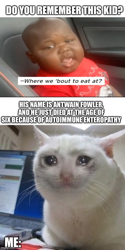 Pay respects by putting f in the chat | DO YOU REMEMBER THIS KID? HIS NAME IS ANTWAIN FOWLER, AND HE JUST DIED AT THE AGE OF SIX BECAUSE OF AUTOIMMUNE ENTEROPATHY; ME: | image tagged in crying cat,memes,sad,crying,whyyy,sadness | made w/ Imgflip meme maker