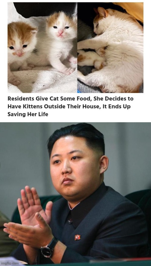 Generous residents to cats | image tagged in clap,cats,cat,kittens,food,memes | made w/ Imgflip meme maker