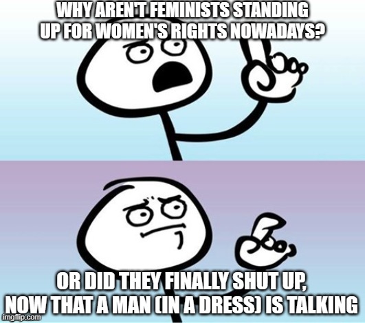 Wait a minute!  Never mind. | WHY AREN'T FEMINISTS STANDING UP FOR WOMEN'S RIGHTS NOWADAYS? OR DID THEY FINALLY SHUT UP, NOW THAT A MAN (IN A DRESS) IS TALKING | image tagged in wait a minute never mind | made w/ Imgflip meme maker