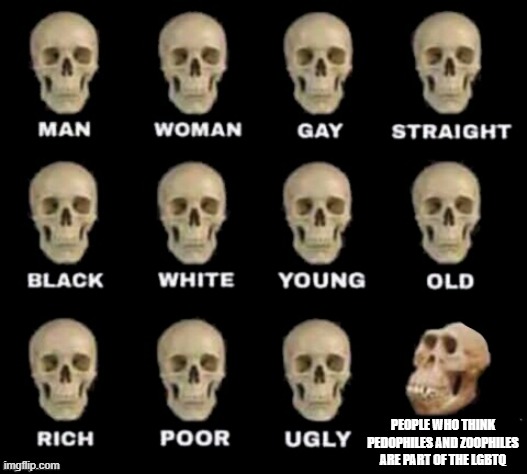 idiot skull | PEOPLE WHO THINK PEDOPHILES AND ZOOPHILES ARE PART OF THE LGBTQ | image tagged in idiot skull | made w/ Imgflip meme maker