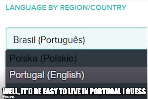 They Speak What? | WELL, IT'D BE EASY TO LIVE IN PORTUGAL I GUESS | image tagged in you had one job | made w/ Imgflip meme maker