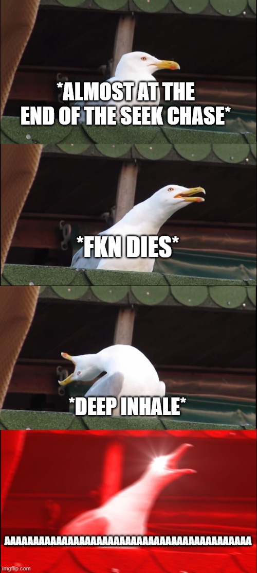 oh the misery | *ALMOST AT THE END OF THE SEEK CHASE*; *FKN DIES*; *DEEP INHALE*; AAAAAAAAAAAAAAAAAAAAAAAAAAAAAAAAAAAAAAAAAAA | image tagged in memes,inhaling seagull | made w/ Imgflip meme maker