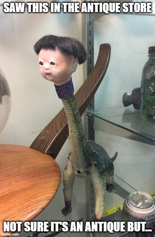 Go Antiquing They Said...It'll Be Fun They Said | SAW THIS IN THE ANTIQUE STORE; NOT SURE IT'S AN ANTIQUE BUT... | image tagged in unsee juice | made w/ Imgflip meme maker