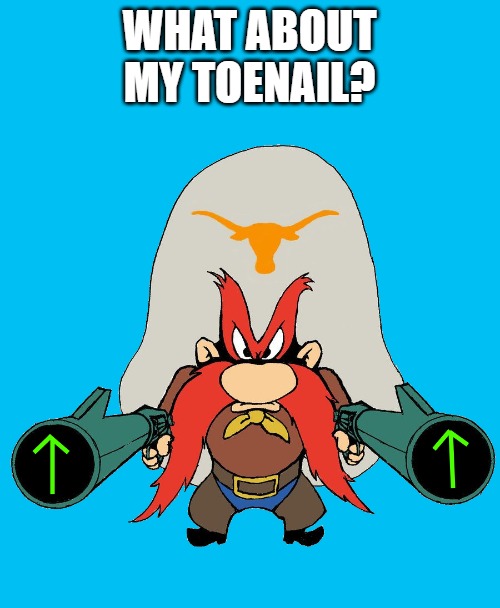 WHAT ABOUT MY TOENAIL? | image tagged in sam | made w/ Imgflip meme maker