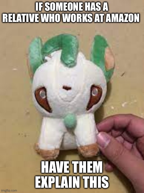WHERE DA HELL DID DAT LEAFEON COME FROM | IF SOMEONE HAS A RELATIVE WHO WORKS AT AMAZON; HAVE THEM EXPLAIN THIS | image tagged in bootleg leafeon,bullshit | made w/ Imgflip meme maker